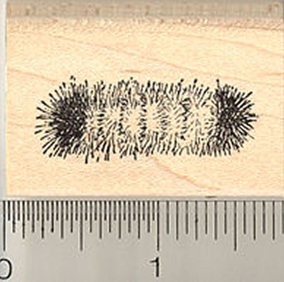 Woolly Bear Caterpillar Rubber Stamp, Hairy Beetle or Moth Larva
