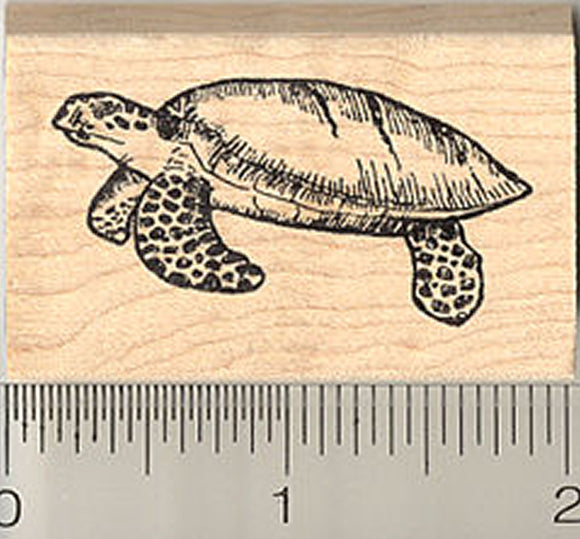 Sea Turtle Rubber Stamp, Green, Hawksbill, Black