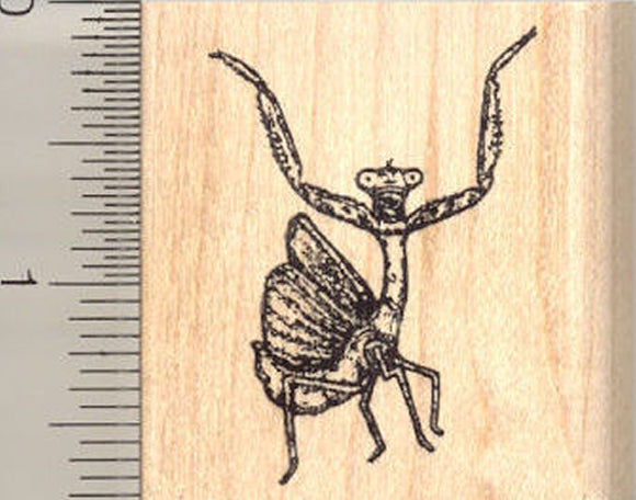 Praying Mantis Rubber Stamp, Threat Display