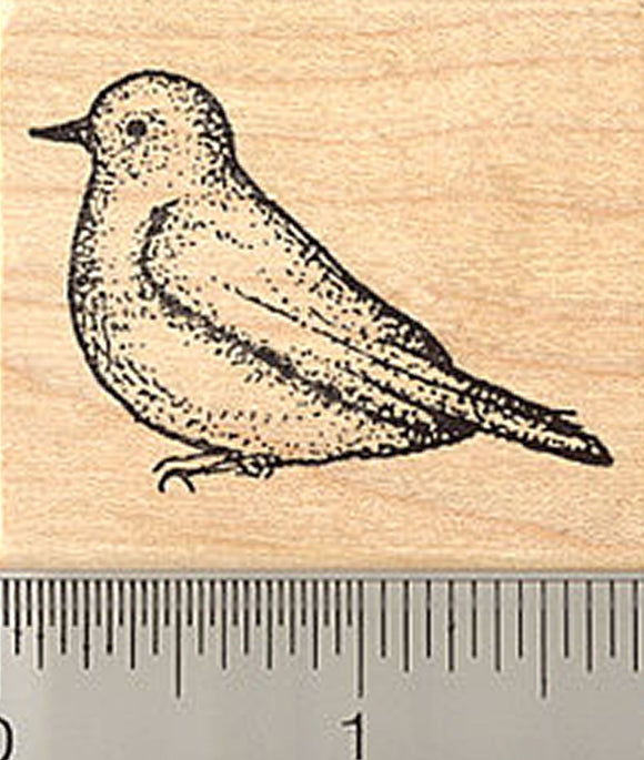 Bluebird Rubber Stamp, Blue Bird of Spring, Thrush