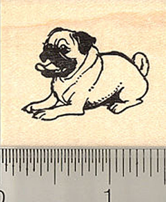 Cute Little Pug Rubber Stamp