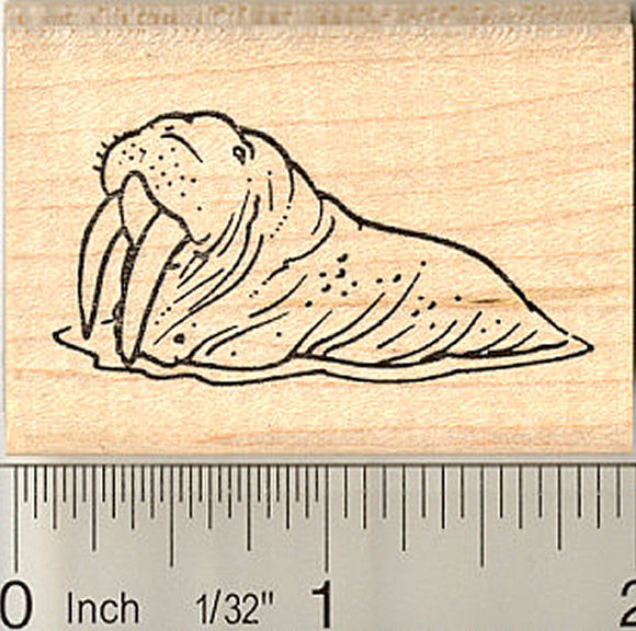 Walrus Rubber Stamp