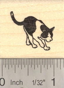 Small Black and White Cat Rubber Stamp