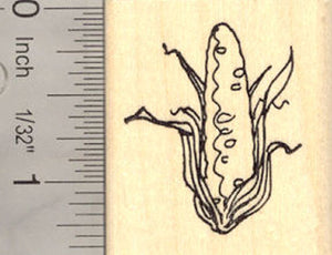 Corn on the Cob Rubber Stamp