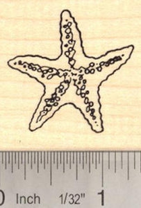 starfish Rubber Stamp, Sea Star Fish