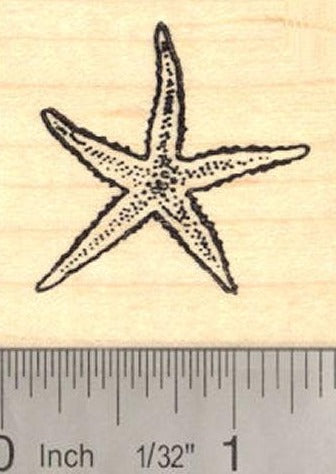 Starfish Rubber Stamp, Sea Star Fish