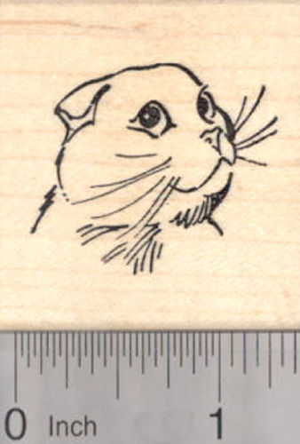 Scottish Fold Kitty Portrait Rubber Stamp, Cat Face