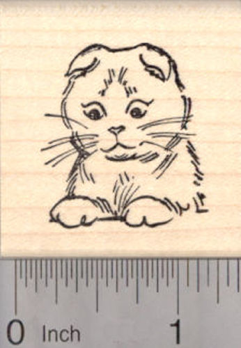 Scottish Fold Kitty Rubber Stamp, Cat