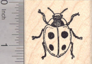Ladybug Rubber Stamp, Lady Bird Beetle