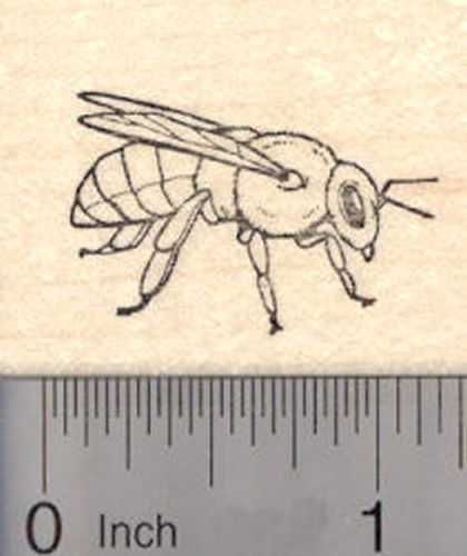Honey Bee Rubber Stamp