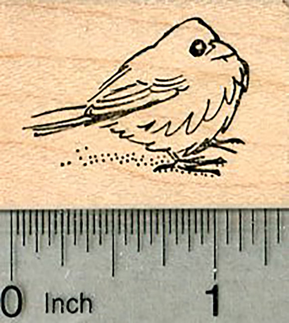 Junco Snowbird Bird Rubber Stamp