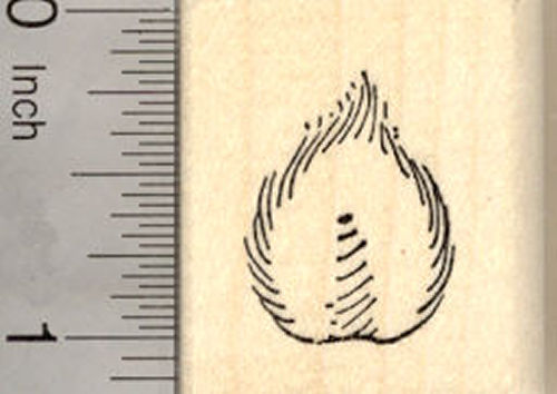 Bunny Tail Rubber Stamp