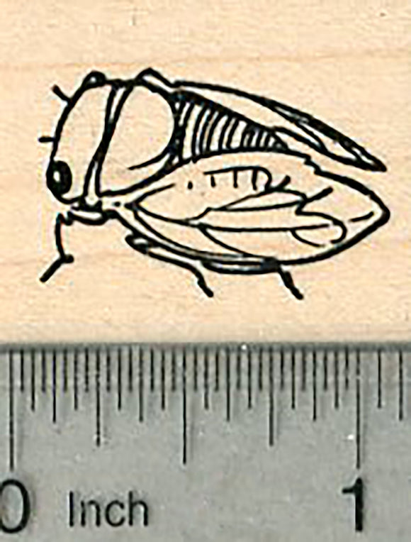 Cicada Bug Rubber Stamp