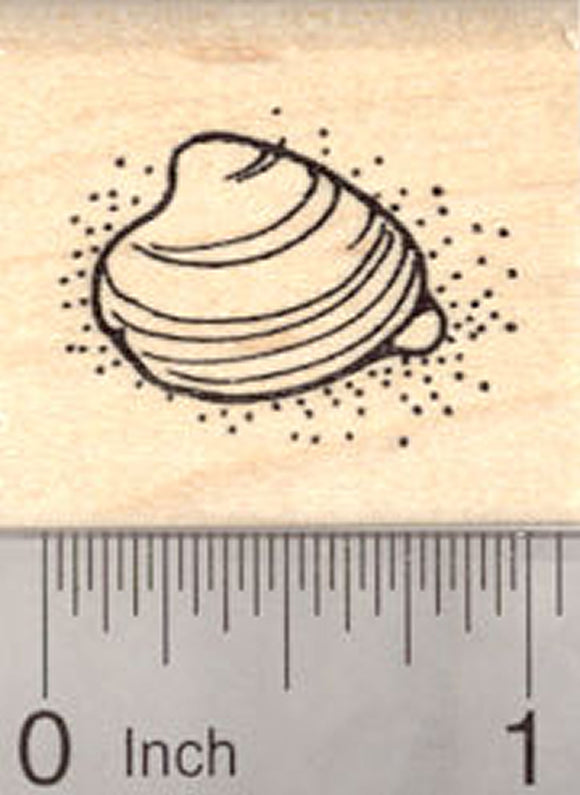 Clam Rubber Stamp, Sea Mollusk, Oyster