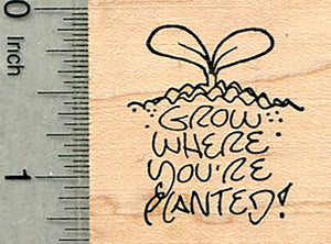 Grow where you're planted, Sprout Rubber Stamp, Motivational