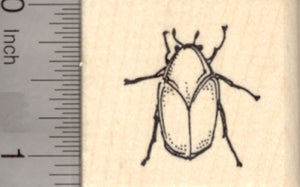 June Bug Rubber Stamp, Insect of Summer