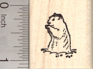 Small Groundhog Rubber Stamp, Ground Hog Day, Woodchuck, Marmot