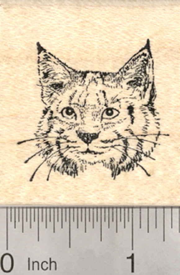 Bobcat Face Rubber Stamp, Small, North American Wildlife Cat