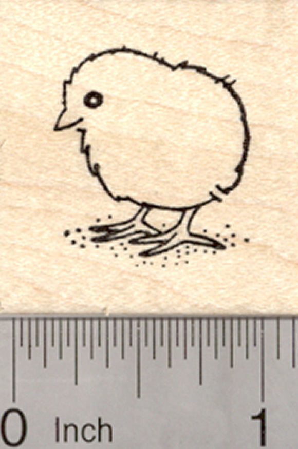 Easter Chick Rubber Stamp, Baby Bird