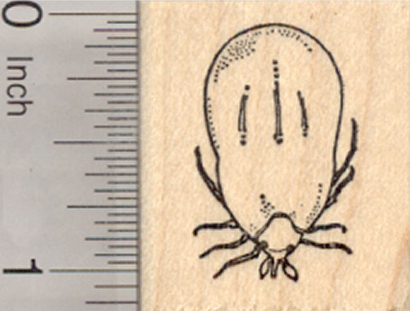 Engorged Tick Rubber Stamp, Parasite, Lyme Disease, Rocky Mountain Fever
