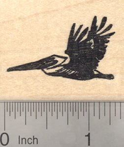 Pelican Rubber Stamp, South American Brown or Peruvian