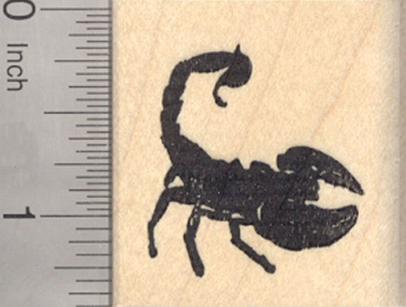 Scorpion Rubber Stamp, Predatory Arthropod