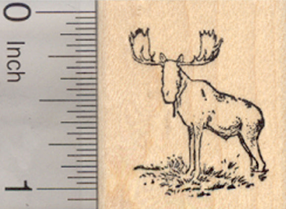 Bull Moose Rubber Stamp, Eurasian elk, Small