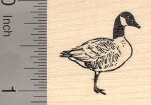Canadian Goose Rubber Stamp, Small