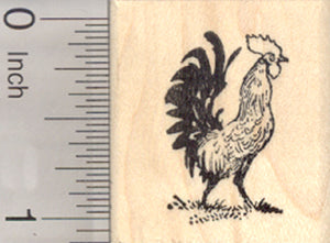 Rooster Rubber Stamp, AKA Cockerel, Cock, or Male Chicken, Small