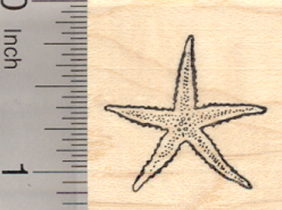 Starfish Rubber Stamp, Sea Star Fish, Small