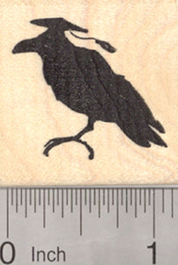 Graduation Crow Rubber Stamp, Mortarboard Hat on Raven, Blackbird
