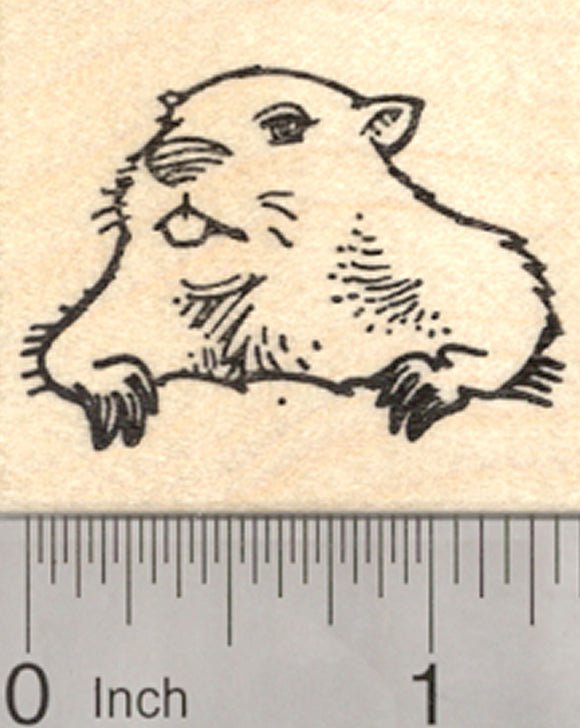 Groundhog Day Rubber Stamp, Marmot Emerging From Burrow