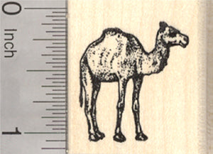 Camel Rubber Stamp, Small dromedary