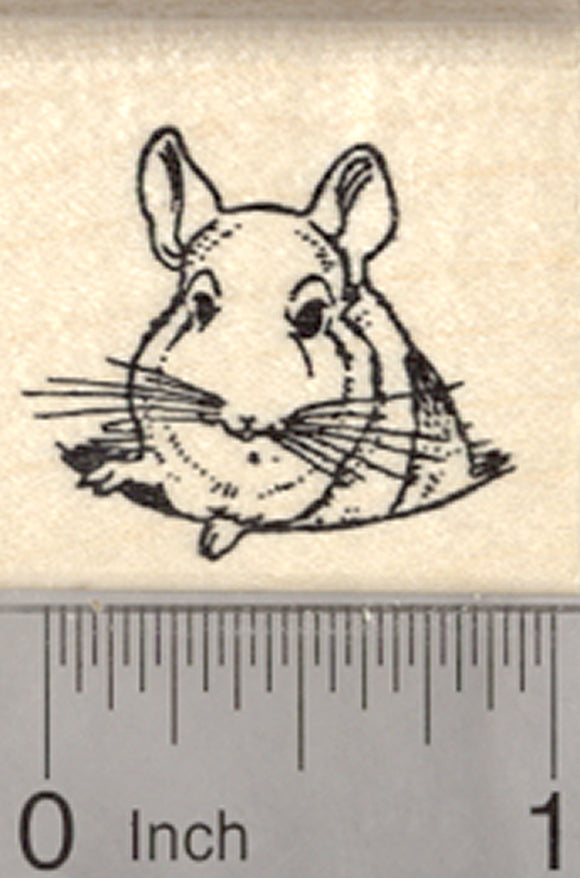 Chinchilla Rubber Stamp, Small