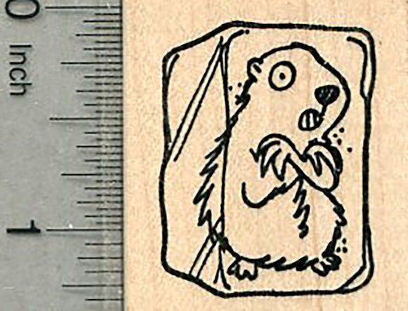 Groundhog Day Rubber Stamp, Woodchuck Frozen in Ice Cube