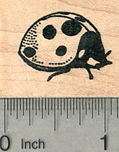 Ladybug Rubber Stamp, Ladybird Beetle
