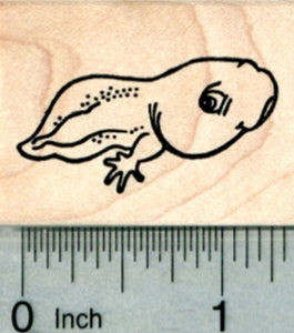 Tadpole Rubber Stamp, with Legs