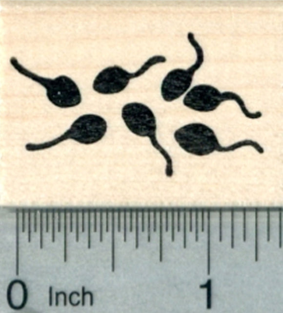 Tadpole Rubber Stamp, Pollywog, Aquatic Frog or Toad Larvae