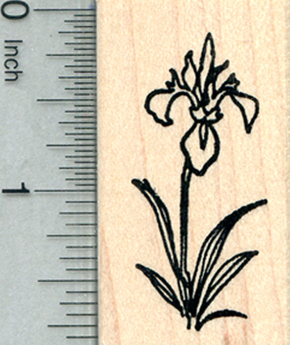Iris Flower Rubber Stamp, Summer Floral Series