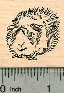 Guinea Pig Rubber Stamp, Size Small
