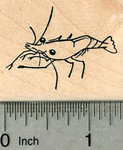Ghost Shrimp Rubber Stamp