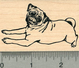 Pug Rubber Stamp, Dog Reclining on Floor