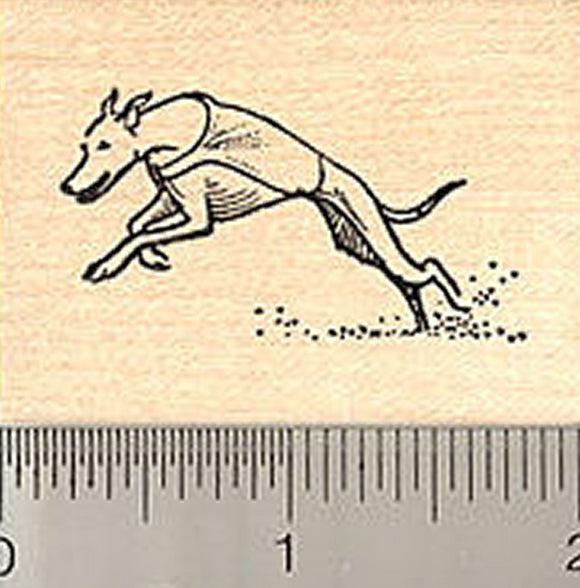 Small Greyhound Dog Rubber Stamp