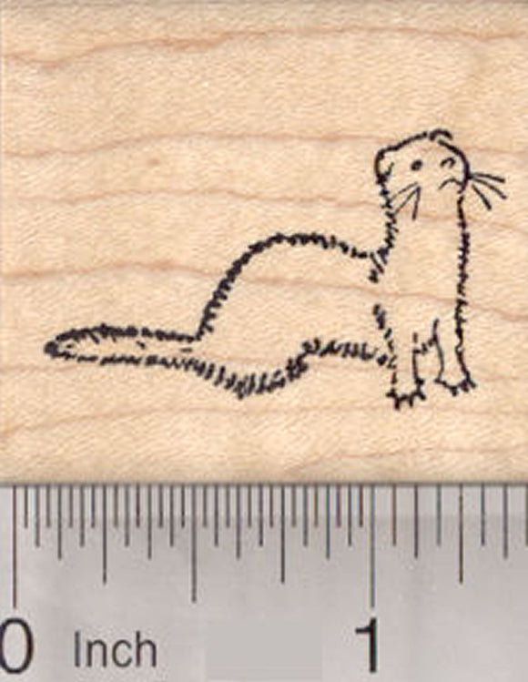 Ferret Rubber Stamp, Small, Looking up
