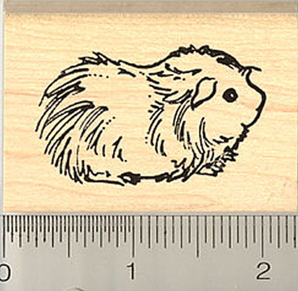 Cute Long haired Guinea Pig Rubber Stamp