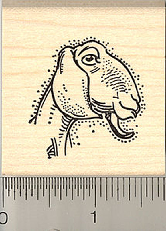 Nubian Goat Face Rubber Stamp