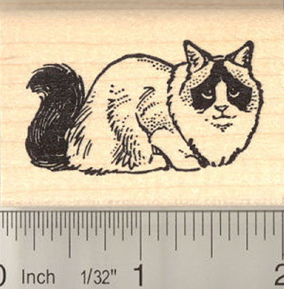 Ragdoll Cat Rubber Stamp