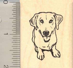 Labrador Retriever Mix Dog Rubber Stamp