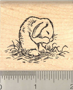 Grooming Bunny Rubber Stamp
