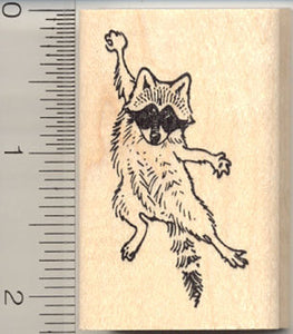 Hang in There Raccoon Rubber Stamp